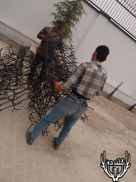 حفاظ شاخ گوزنی در اسلامشهر